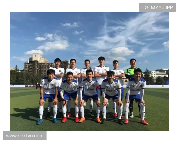 杭州足球队在城市联赛中的团队协作表现分析与点评